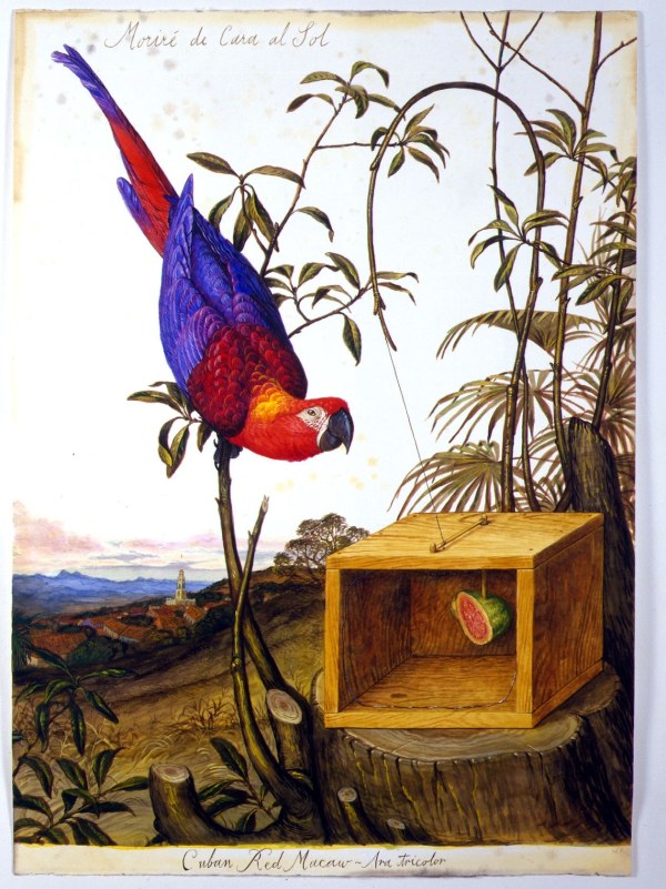 Walton Ford, Morire de Cara al Sol, 2004