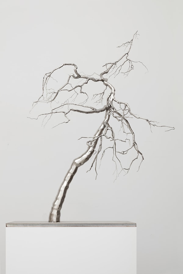 Roxy Paine, Heretic, 2016