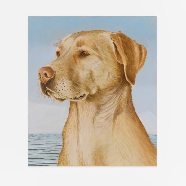 Sean Landers, Yellow Lab, 2022
