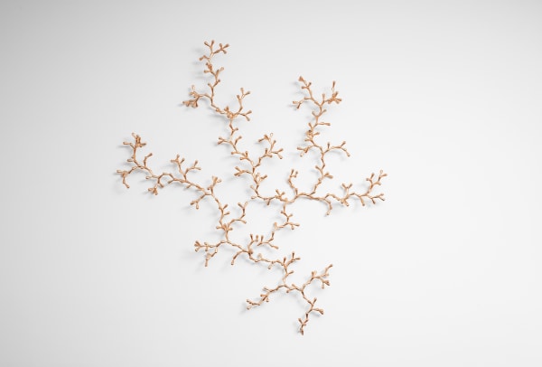 Loris Cecchini - The developed Seed (sequence 488), 2018