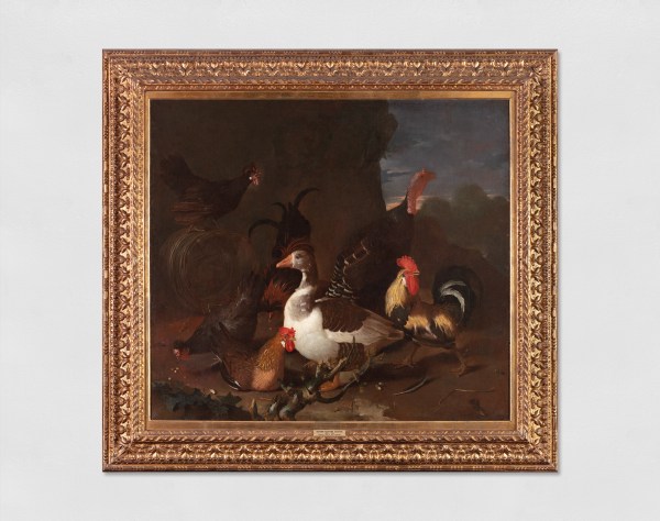 Giovanni Agostino Cassana - Gallo, galline, oca e tacchino in un paesaggio