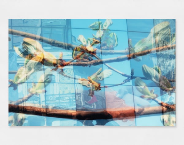 Davide Bramante - Two years together, 2007