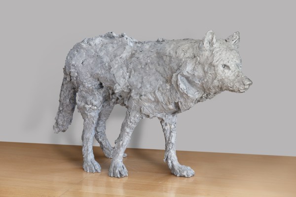 Davide Rivalta - Lupo, 2010