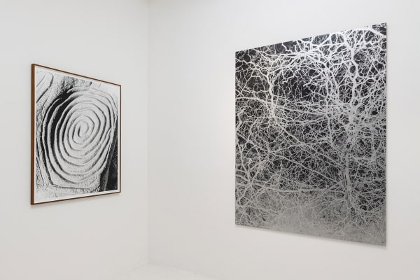 Sybren Vanoverberghe - Spiral, 2023