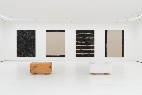 Leonardo Anker Vandal The Shyness of the Peaks