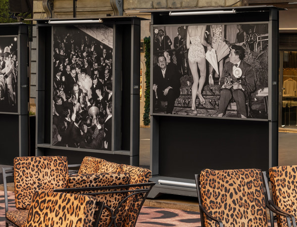 Edoardo Dionea Cicconi | Article | Travel Peacock Magazine