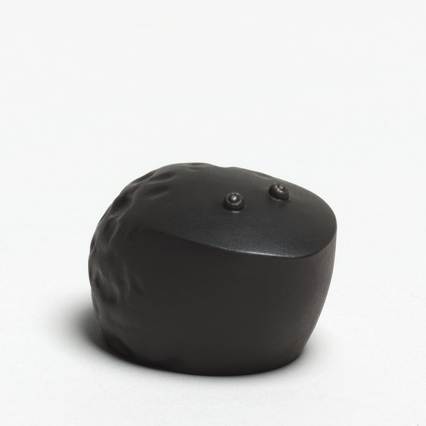 Andreas Caderas. Frösche, #021486 Frosch, 2017