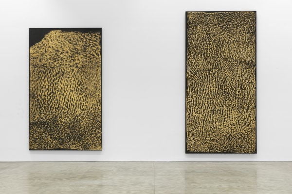 James Nares: Monuments