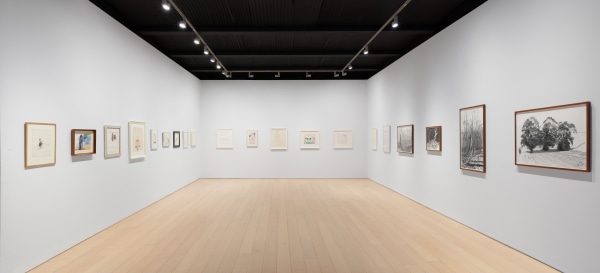 David Hockney: Works on Paper, 1961 - 2009