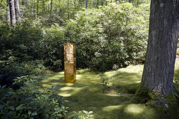THE MOSS ROOM