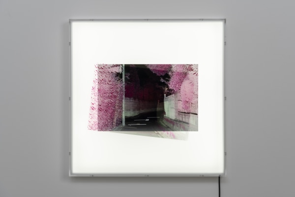 Yusuke Yamatani, Into the Light #059, 2017