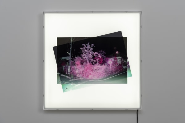 Yusuke Yamatani, Into the Light #076 2017