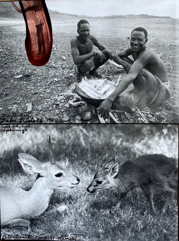 Peter Beard, Lake Rudolf diptych, 1965