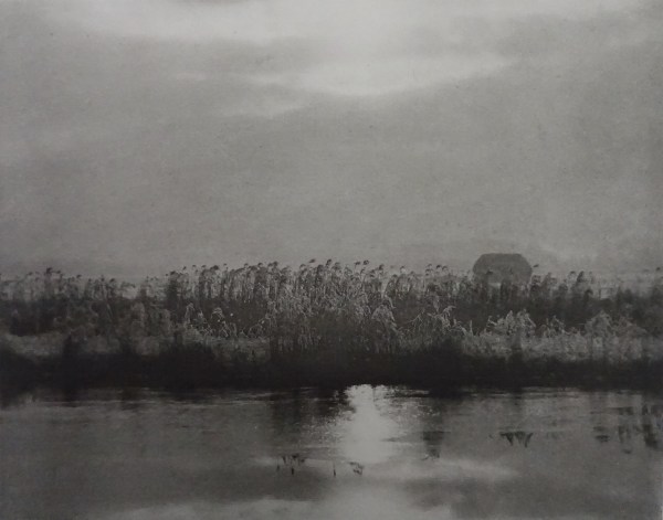 Peter Henry Emerson, Rime Crystals, 1895