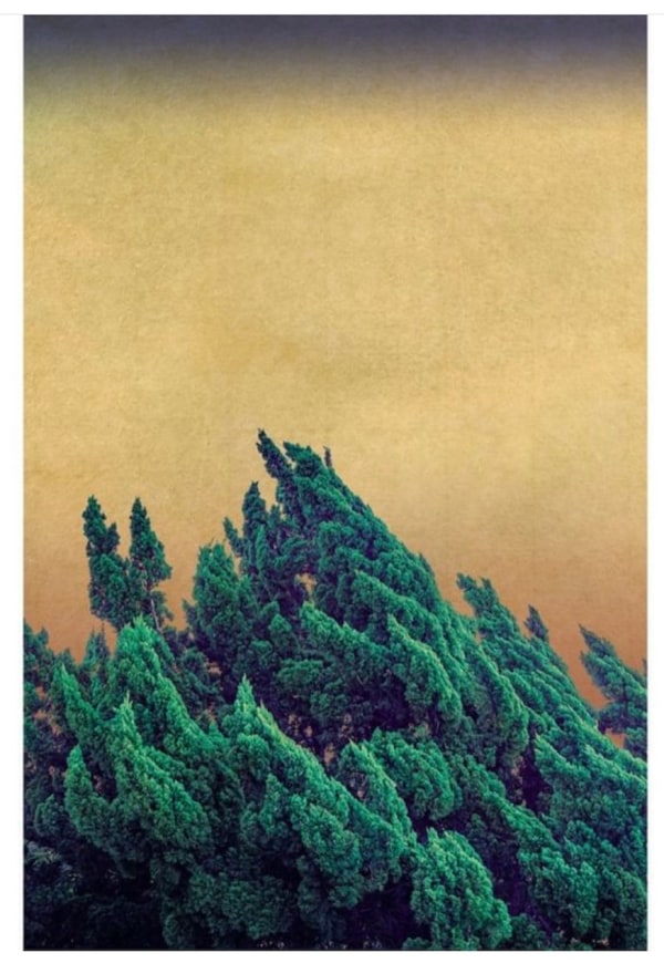 Albarrán Cabrera, The Mouth of Krishna, #284, 2016