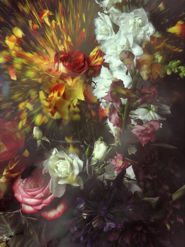 Ori Gersht, Fusing Time 02, 2022