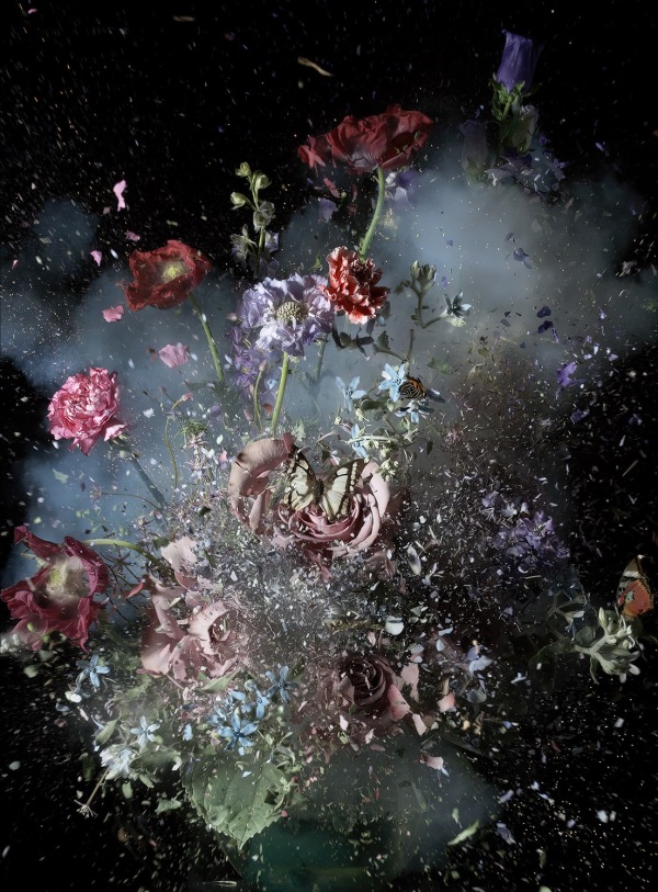 Ori Gersht, Fields and Vision 1, 2022