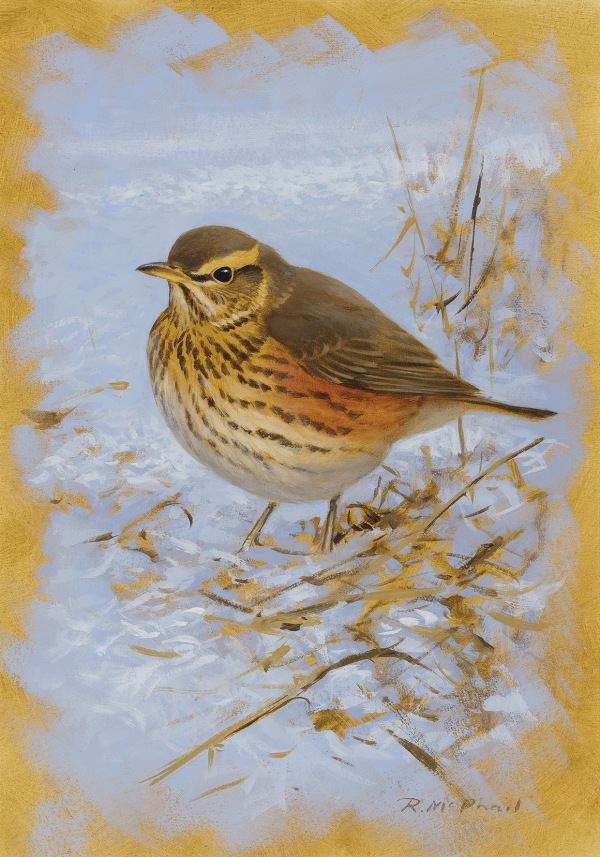 Rodger McPhail , Redwing