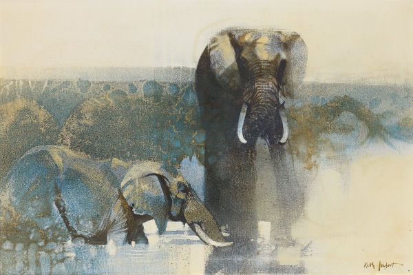 Keith Joubert , Chobe elephants