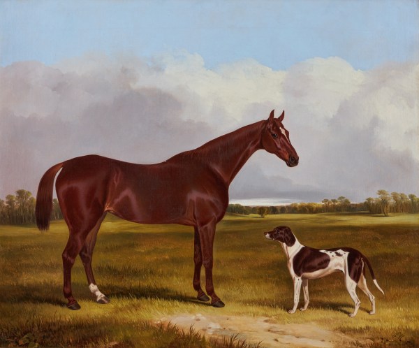 John Dalby , A chestnut horse and English pointer in a landscape