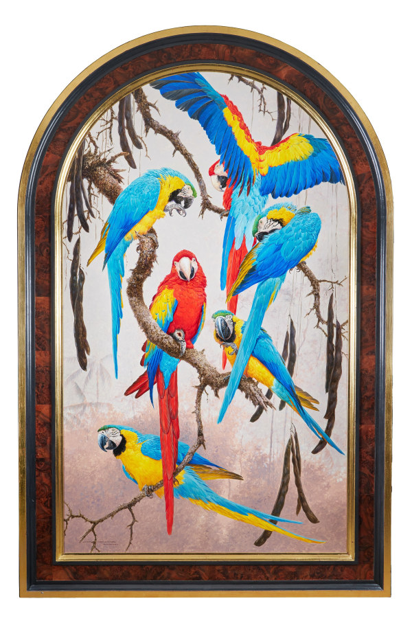 David Ord Kerr , Macaws