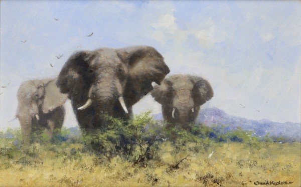 David Shepherd, CBE, Elephants