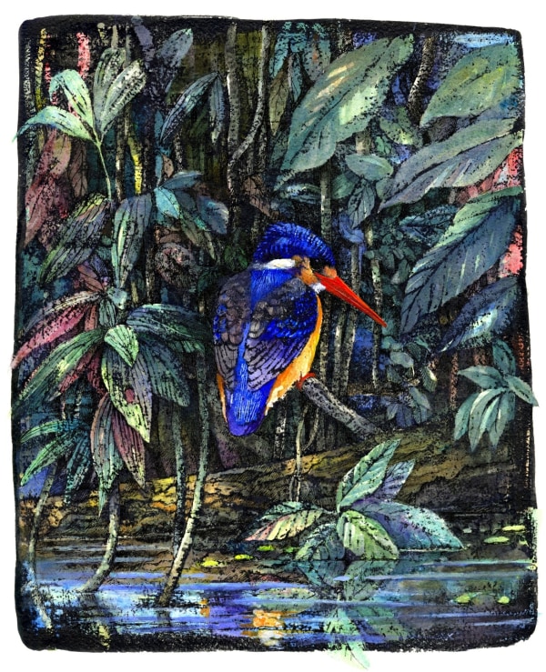 Emma Faull , Jungle Kingfisher