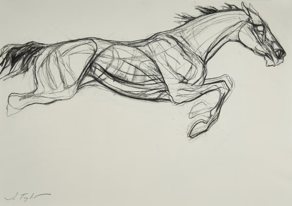 Jo Taylor, Leaping horse