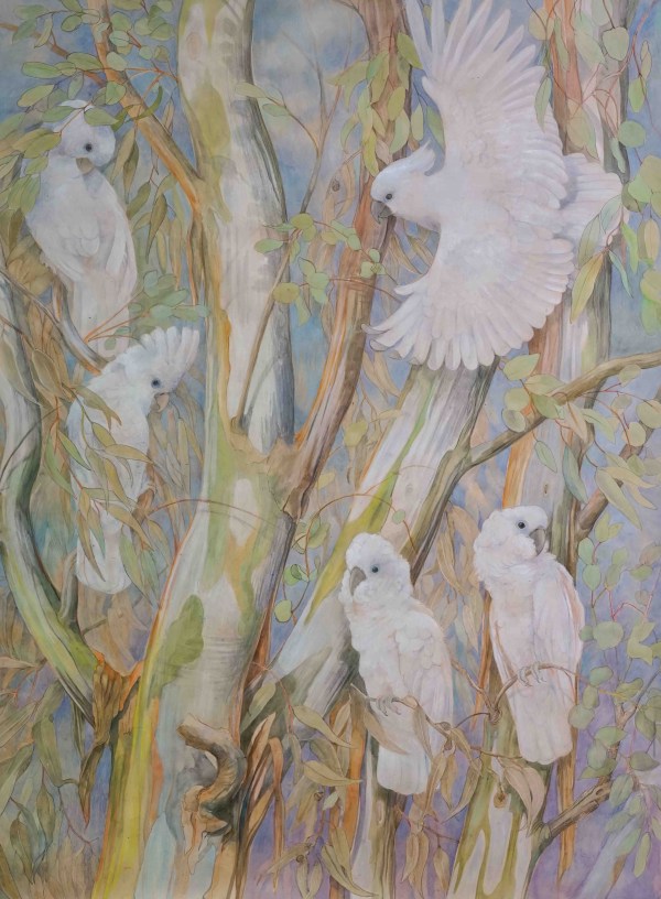 Emma Faull , White Cockatoos