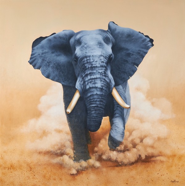 Michael Alan Costello , Chobe elephant