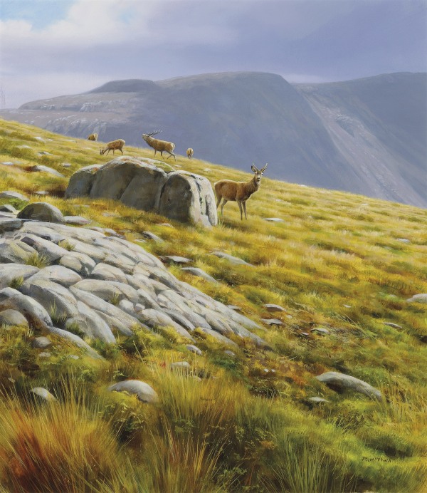 Rodger McPhail , Deer on the hill