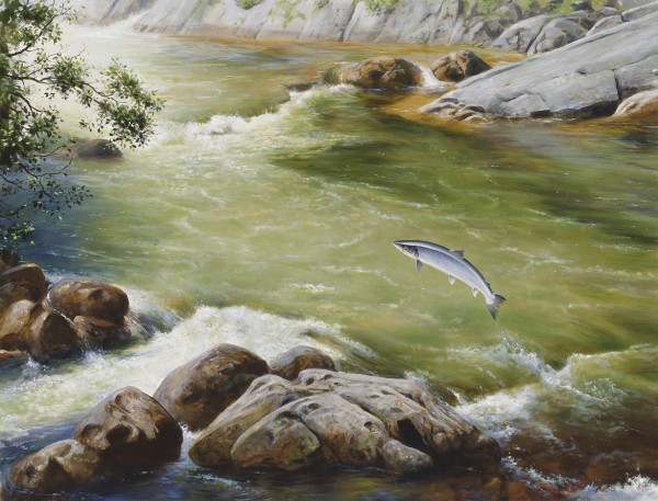 Rodger McPhail , Running Salmon