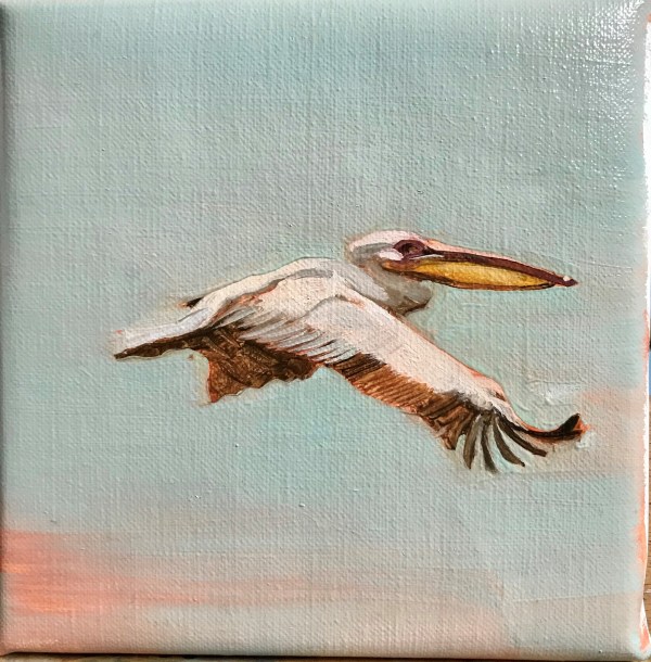 Francesca Sanders, Pelican in flight II, Mahale, Lake Tanganyika