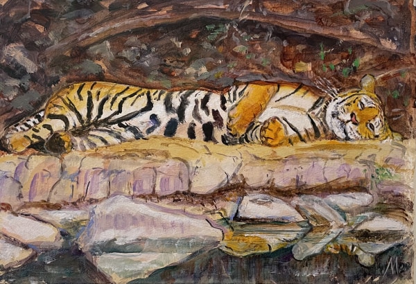 Marcia Gibson-Watt, Sunbathing tiger, Ranthambore National Park, India