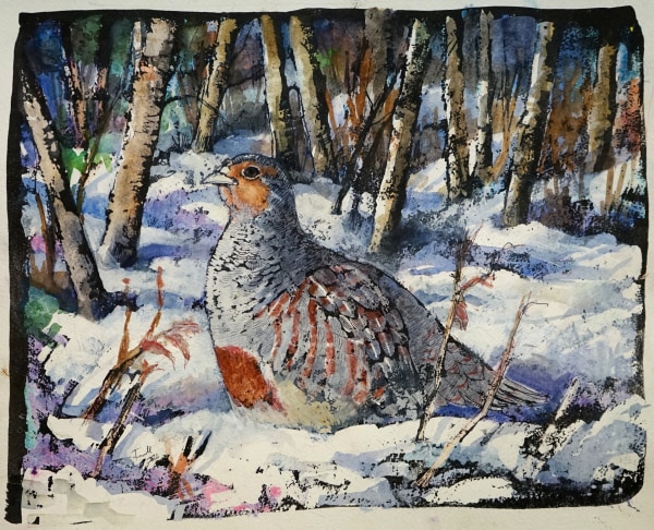 Emma Faull , Grey Partridge in snow