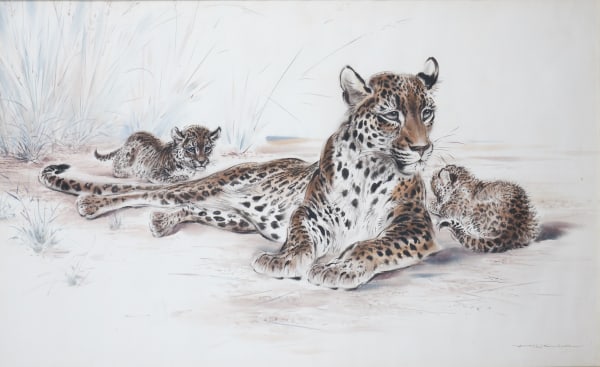 Ralph Thompson , Cheetah and cubs