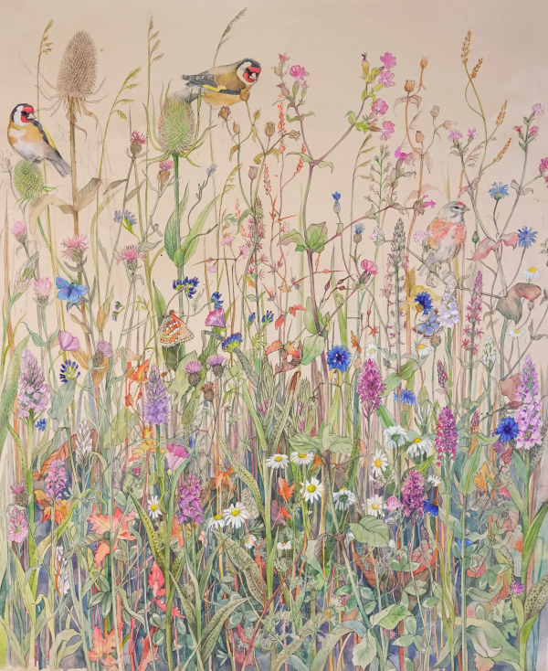 Emma Faull , Orchid meadow: Goldfinches, Linnet, Marsh Fritillary and Common Blue