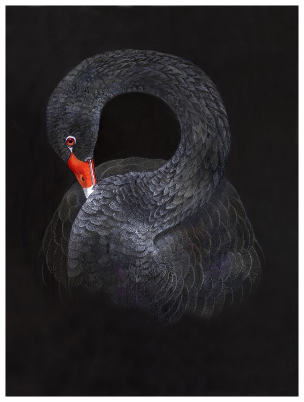 Emma Faull, Black Swan II