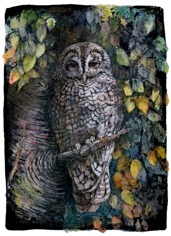 Emma Faull , Tawny Owl