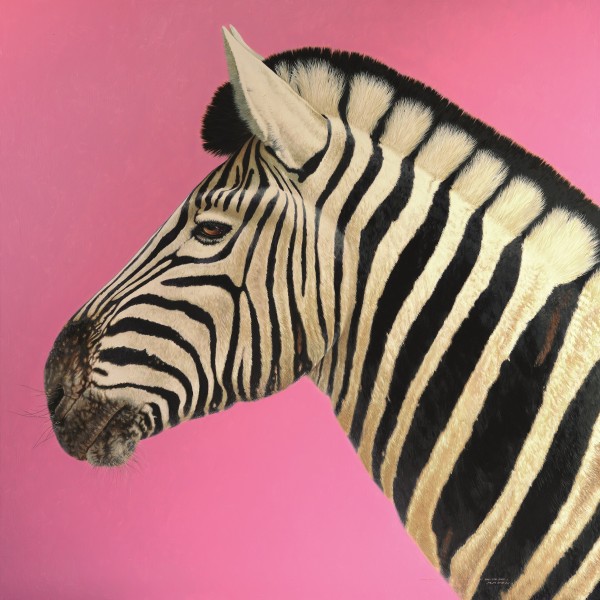David Ord Kerr , Zebra