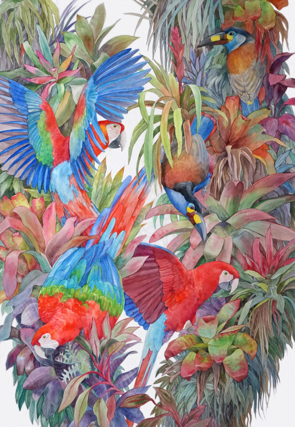 Emma Faull , Red and Green Macaws