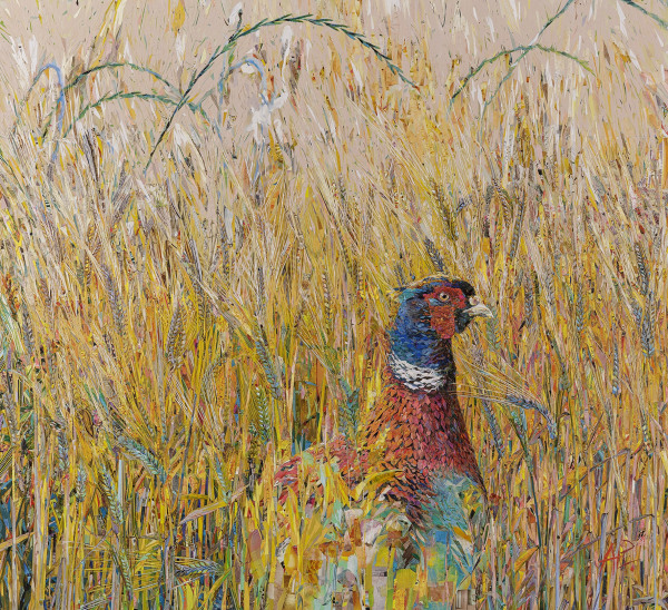 Amanda Page , Fields of gold (Pheasant)