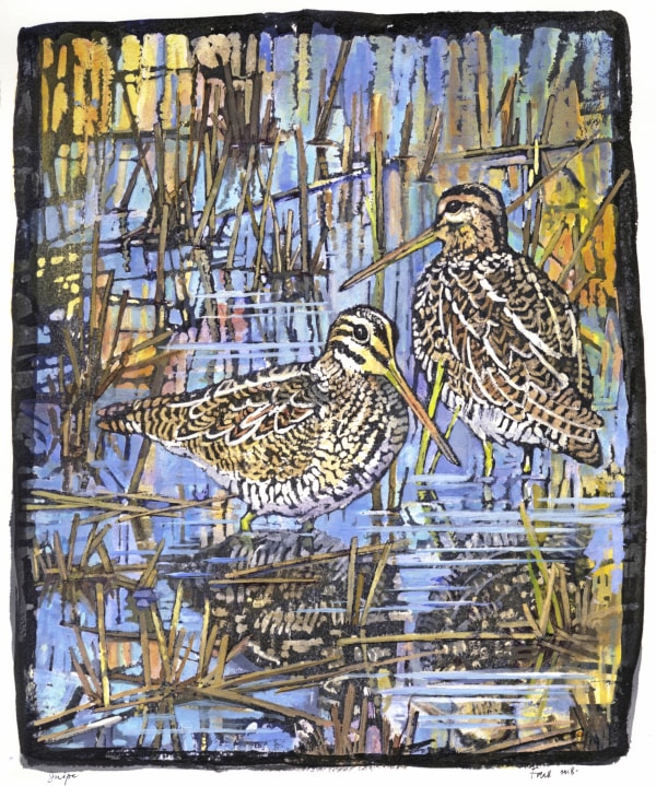 Emma Faull , Wading snipe