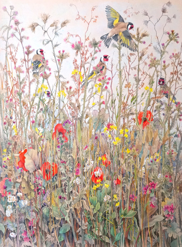 Emma Faull , Goldfinches in meadow