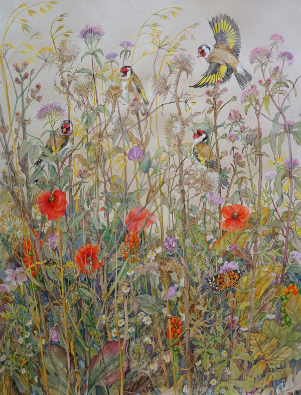 Emma Faull, Goldfinches with Painted Lady in a summer meadow