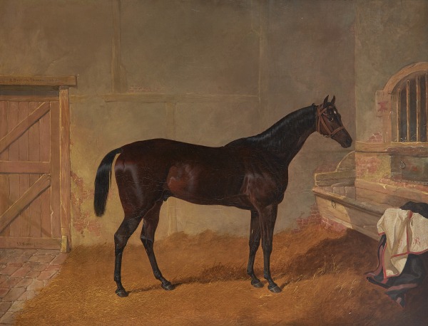 John Frederick Herring Snr , Mr G. Blakelock's bay racehorse in a stable