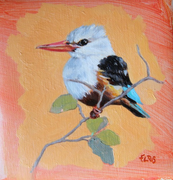 Francesca Sanders, Grey-headed Kingfisher