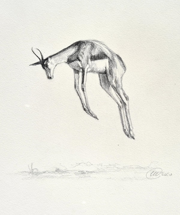 Charlotte J Williams, With a hop, skip and a pronk (Springbok)