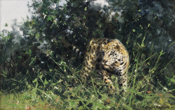 David Shepherd, CBE, Deep in the Forest - Jaguar