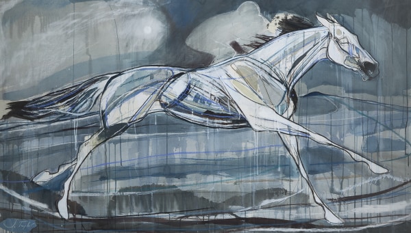 Jo Taylor , The Silver Horse